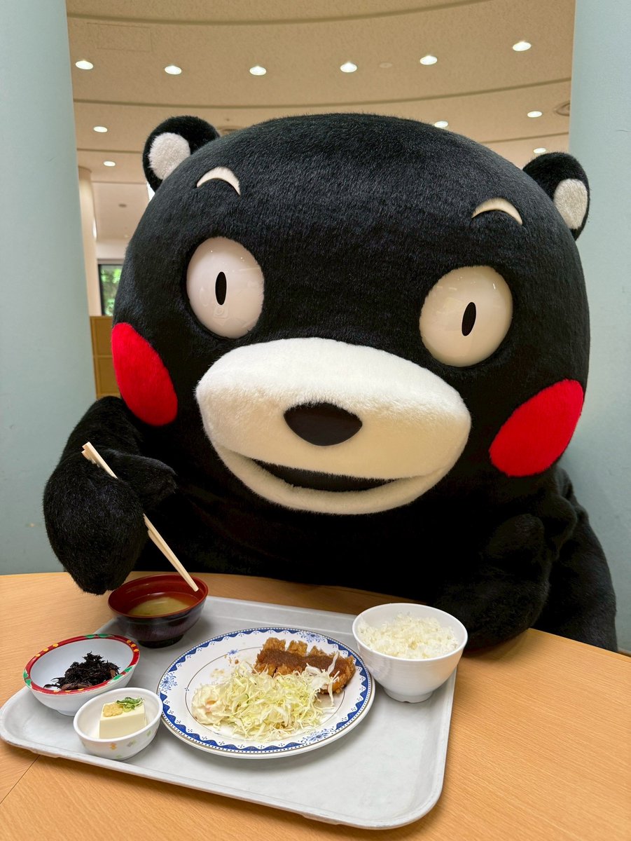 ⚠️くまさん専用アカウント⚠️ Amazon.co.jp: セキグチ(Sekiguchi) うさまる ぬいぐるみ くま