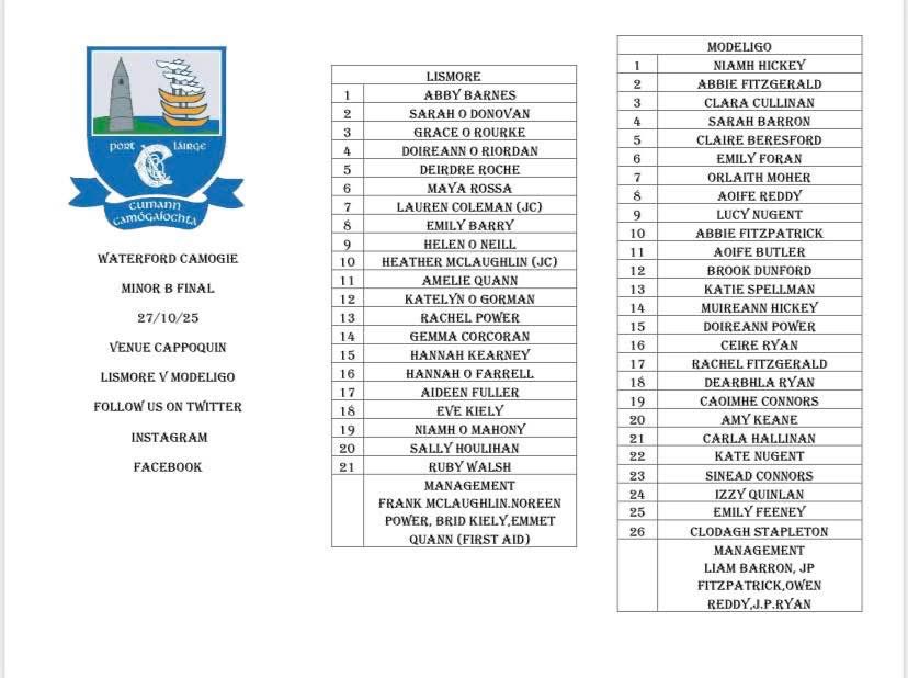 Waterford Camogie tweet media