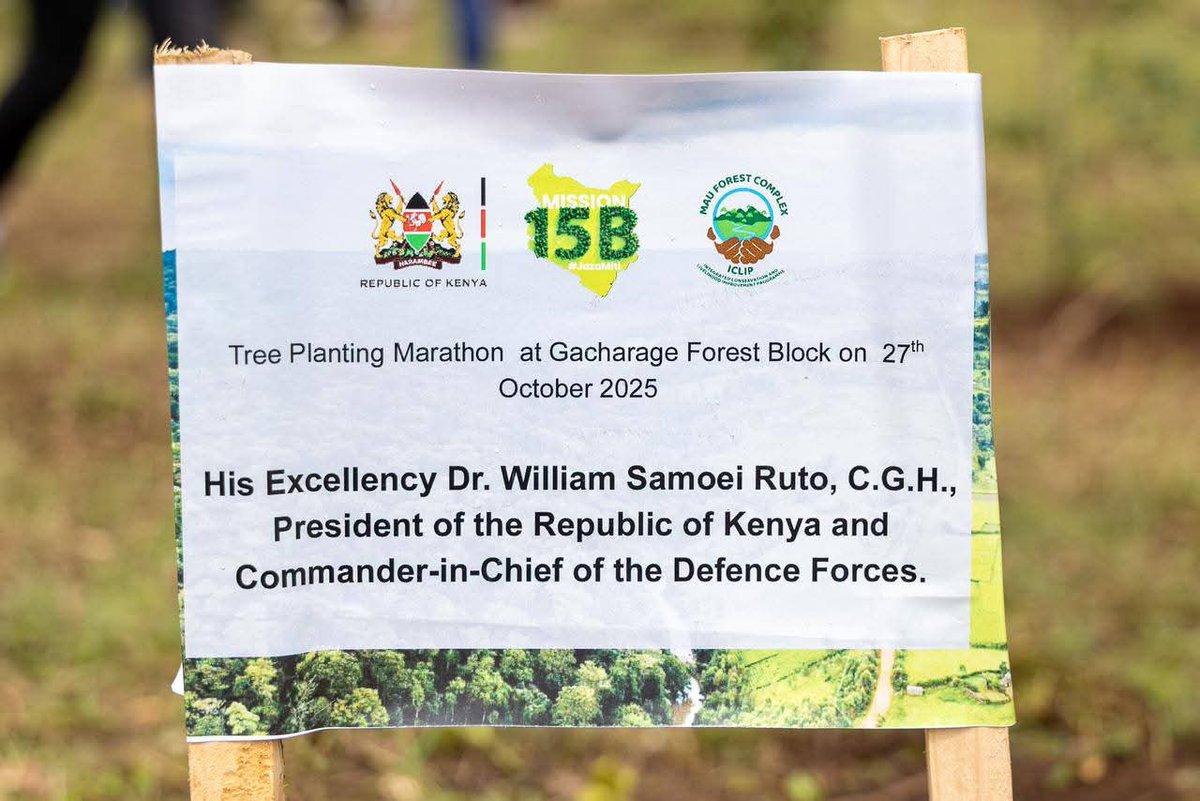 advisornzai's tweet photo. 🌳 H.E. President Ruto’s launch of the Mau Forest Conservation Programme strengthens Kenya’s 15 Billion Trees Plan — restoring our water towers, protecting livelihoods &amp; securing a greener future. 🇰🇪💧

#15BillionTrees #MauForest #ClimateAction #RutoDelivers https://t.co/ncGOhB5NeQ