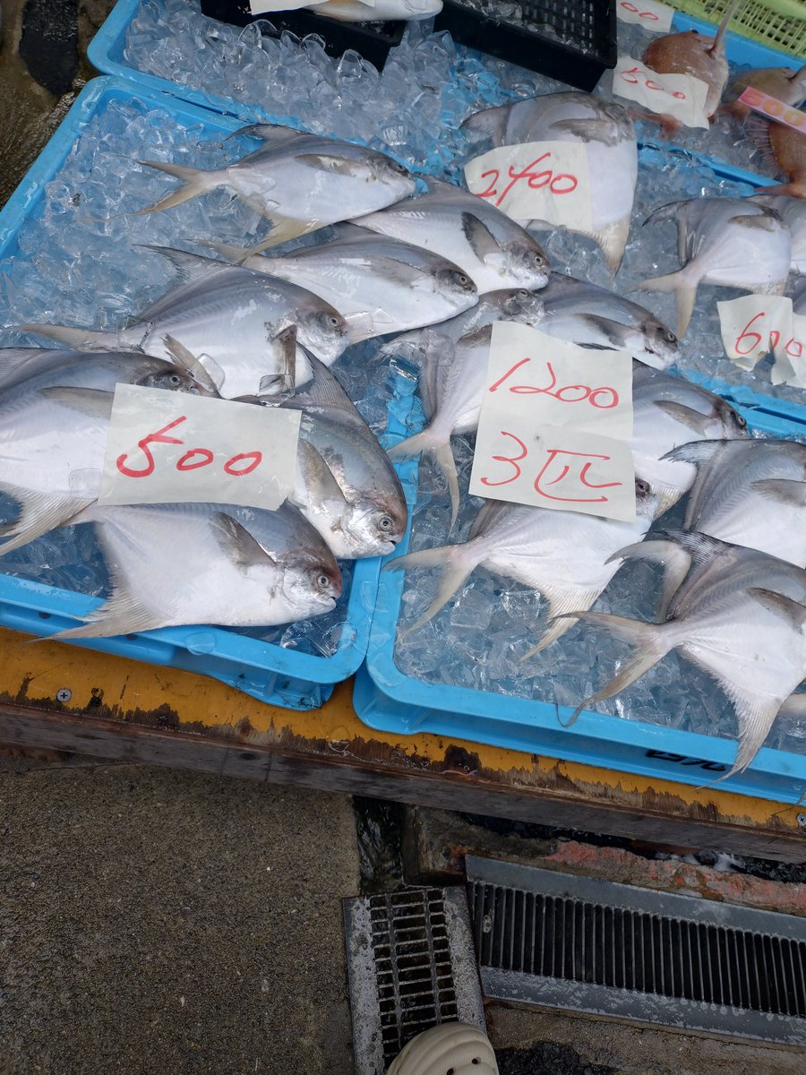 🐟fishman🐟 on X