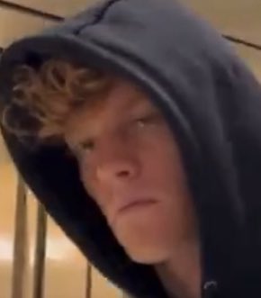 buon lunedì a tutti tranne a bruno 🐝