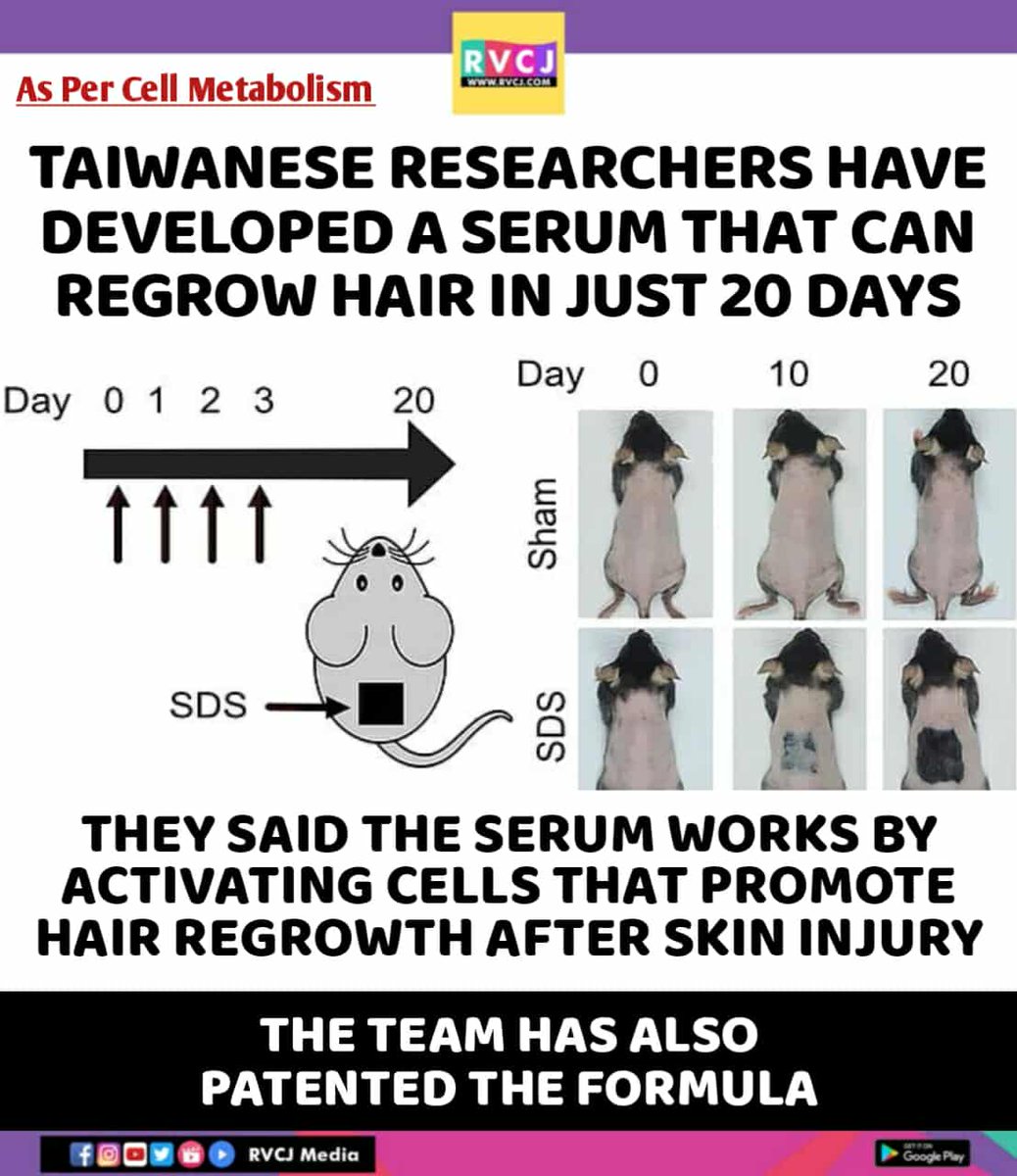 Taiwanese Researchers!