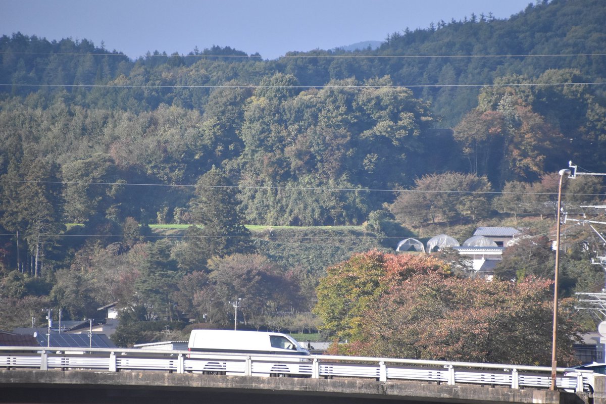 交渉中⚠️#484：ぎふの名山名木　岐阜の自然観察ガイドシリーズ① 交渉中⚠️#484：ぎふの名山名木 岐阜の自然観察ガイドシリーズ