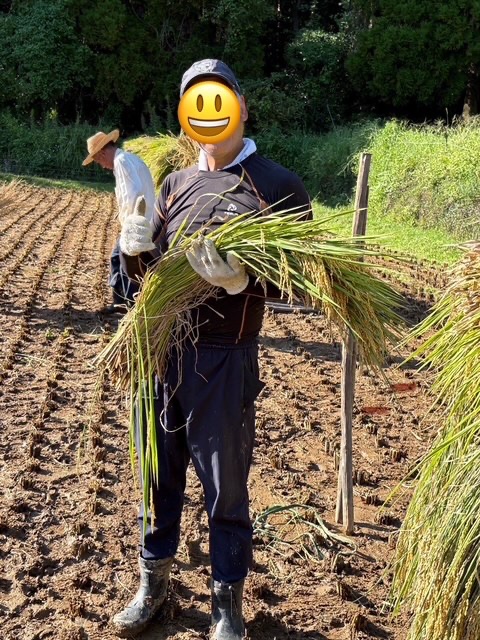 ASKA_Pop_ASKA's tweet photo. 有名大学を卒業し、超有名大企業でバリバリ働き、
定年を前に退職。
そんな彼が選んだのは農業だった。
でも、昨今、このような話は珍しくないよね。
彼も情報に敏感な人だった。
人生たどり着いたのが「農業」って、分かるなぁ。
今年も「天草」から便りが届いた。 https://t.co/iiBOvf8QVj