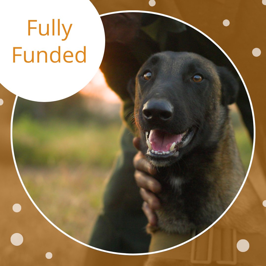 K9 Unit fully funded! 🚨🐾

BIG shoutout to everyone who supported the WILDTRUST: Somkhanda K9 Unit. You hit the target! The dogs and their handlers now have the resources to keep protecting South Africa's wildlife from poachers: loom.ly/rH3Pydo
