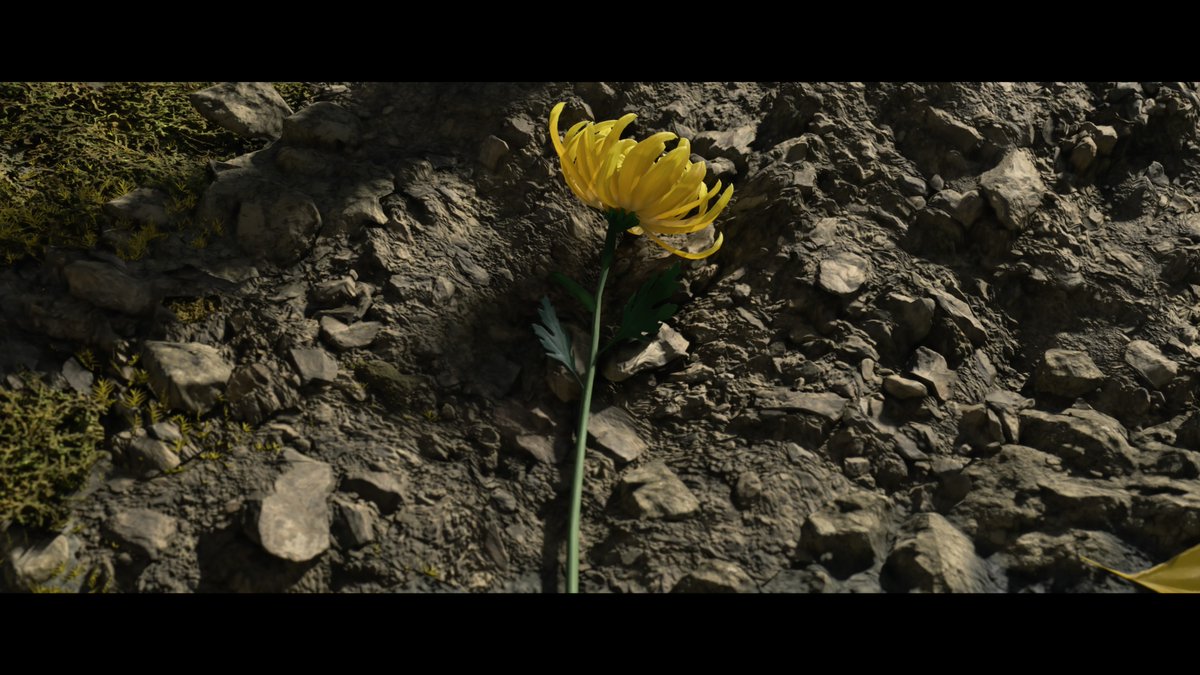 النهاية.
#GhostofYotei