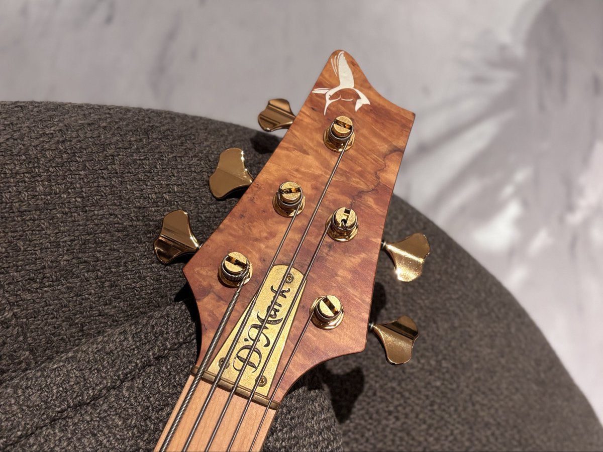 ギター kingkongs Jackson #2914413576 Pro Series KING V, KVTMG Snow White