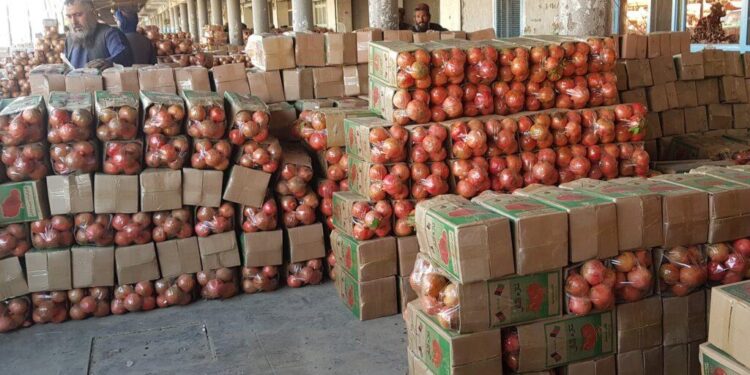افغانستان سے روس کو انار برآمد کرنے کے عمل کا آغاز اقتصادی لحاظ سے ایک نہایت اہم قدم ہے۔
اس سے ہمارے ملک کی پیداوار، خصوصاً انار کے لیے ایک نیا اور بڑا مارکیٹ میسر آئے گا، اور ملکی برآمدات کے شعبے میں ترقی پیدا ہوگی۔ ان شاء اللہ۔