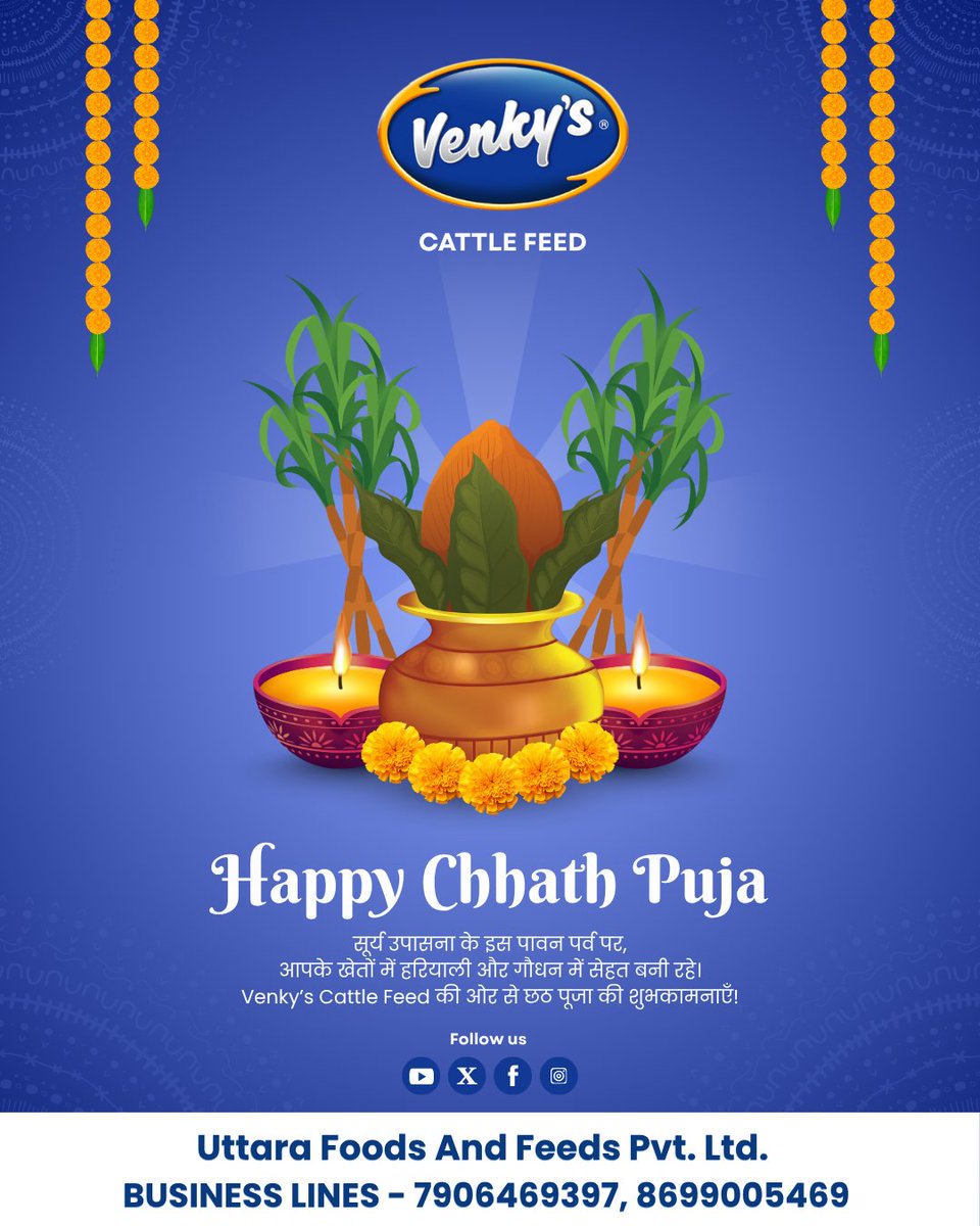 VenkyFeed's tweet image. छठी मैया का आशीर्वाद आपके घर, खेत और गौधन पर सदा बना रहे।
✨ Venky’s Cattle Feed की तरफ़ से हार्दिक शुभकामनाएँ! 🌾

#VenkysCattleFeed #venkys #CattleFeed
#cattlefodder #pashuahar #cattlefeeding #india #ChhathPuja