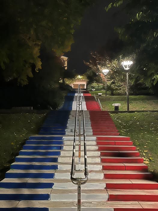 #Lyon  les escaliers de la Croix-#Rousse ont été repeints aux couleurs #PatriotesFrance  Bravo à vous 🇫🇷👍👊