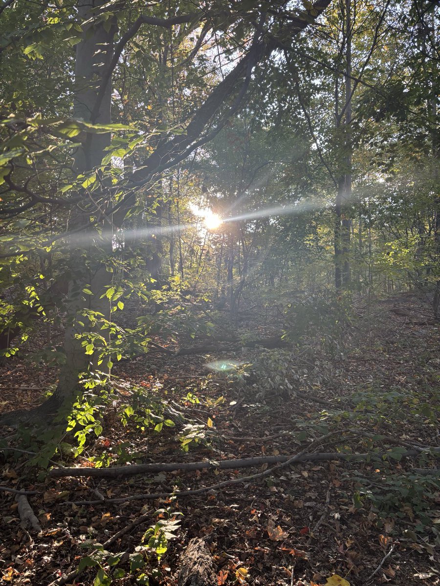 Enjoy this new week 🍀💪🏻