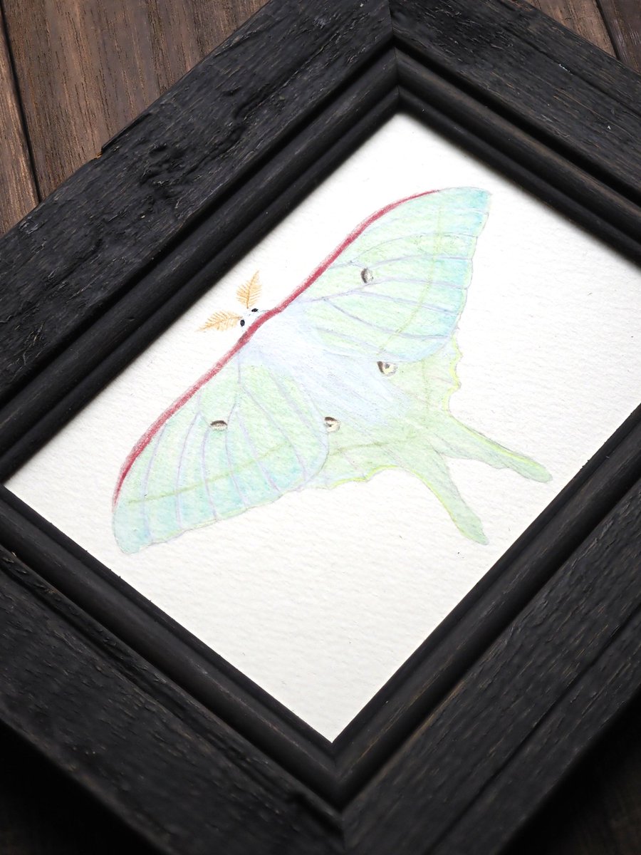 ハンドメイドつな SHOES CONCIERGE