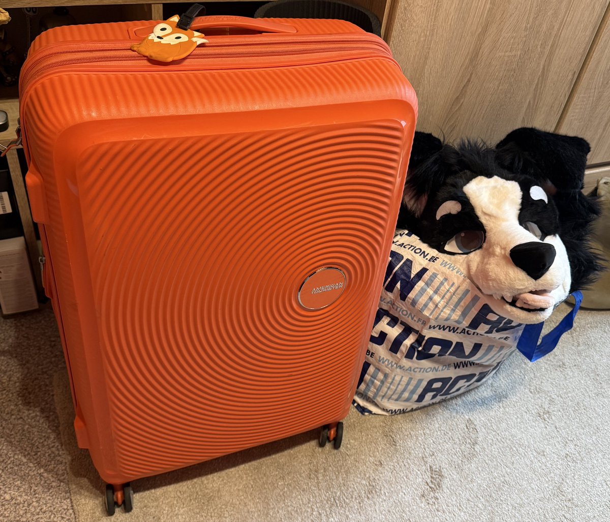 Ready for the #FBL13! 🕺🐶