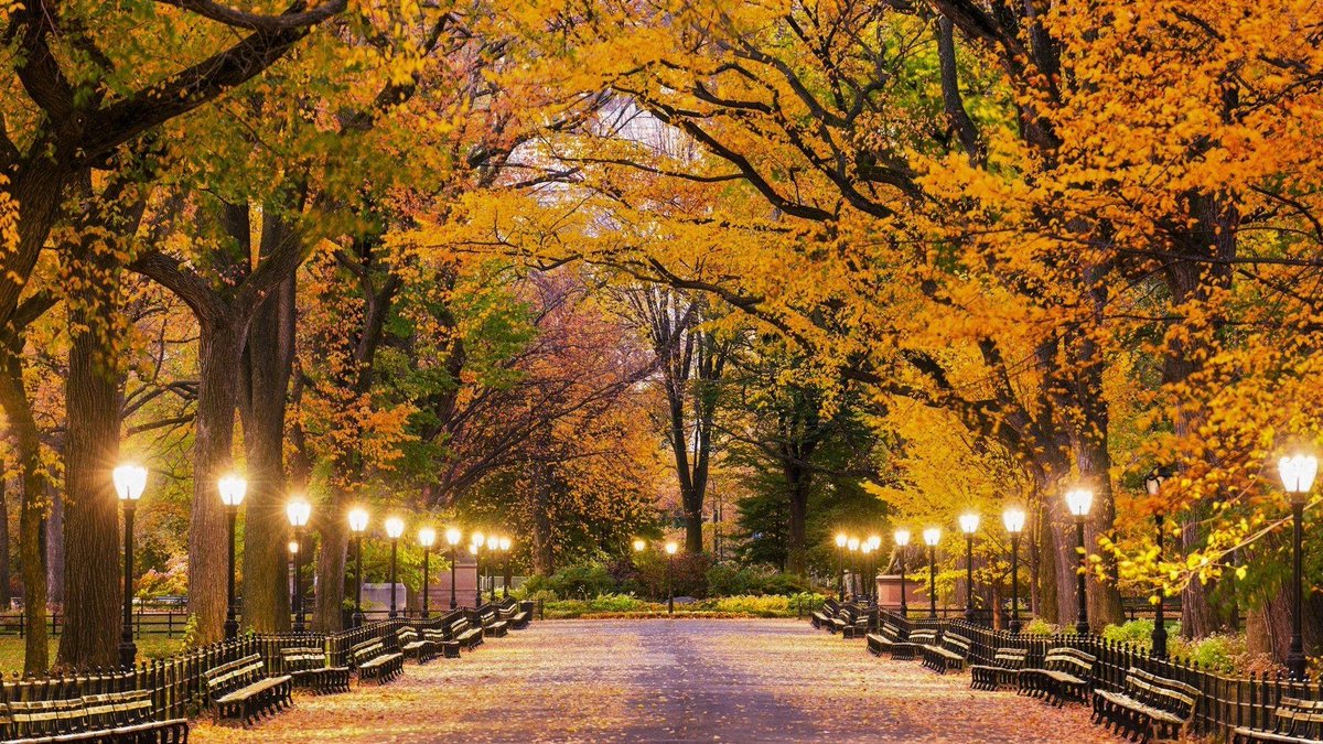 Manhattan, New York, Central Park 

facing south on the The Mall Walkway
near the Naumburg Bandshell