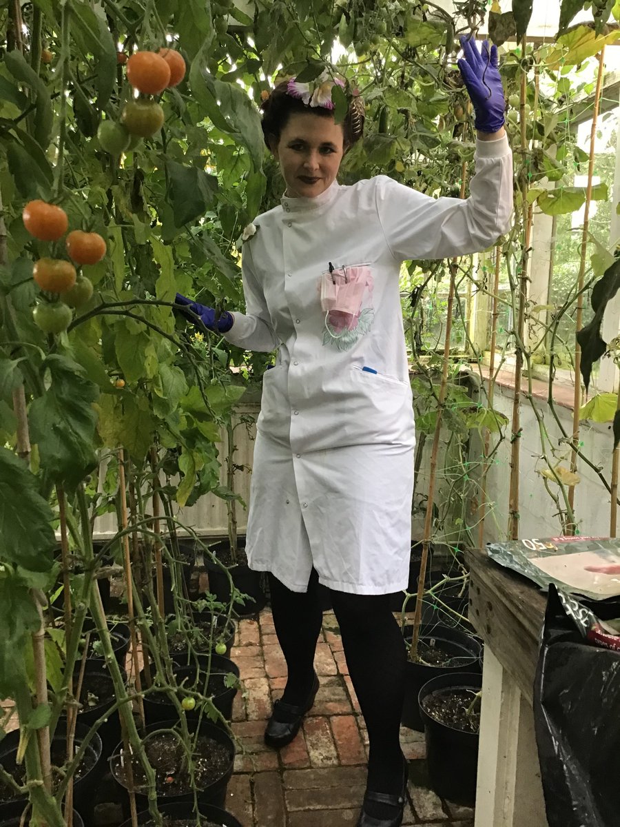 katia_hougaard's tweet photo. Meet Dr. Zerlina Euphorbia, the mad plant scientist! #Halloween #HalloweenCostumes #madscientist #sciencefiction #plants #greenhouse #labcoat #tomatoes https://t.co/SZP5BShfIY