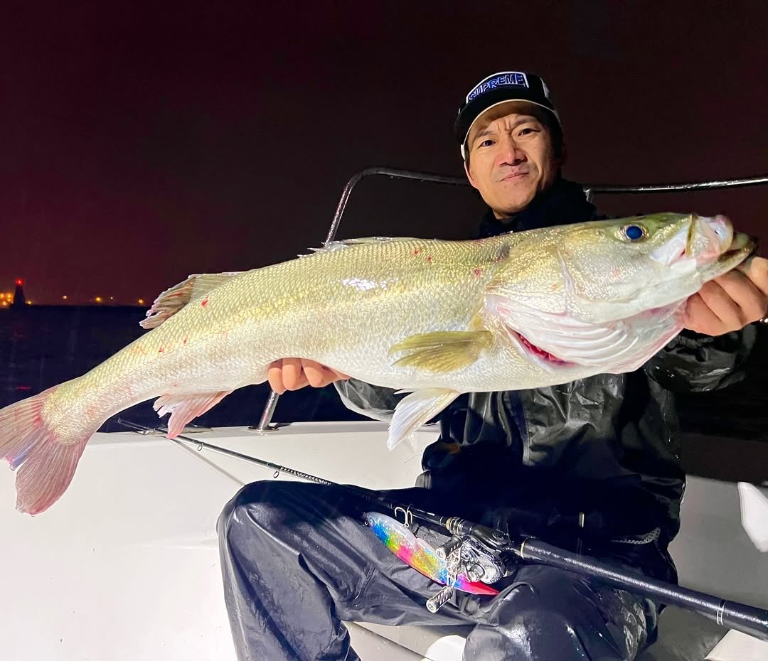 ELEMENTS® JAPAN on X