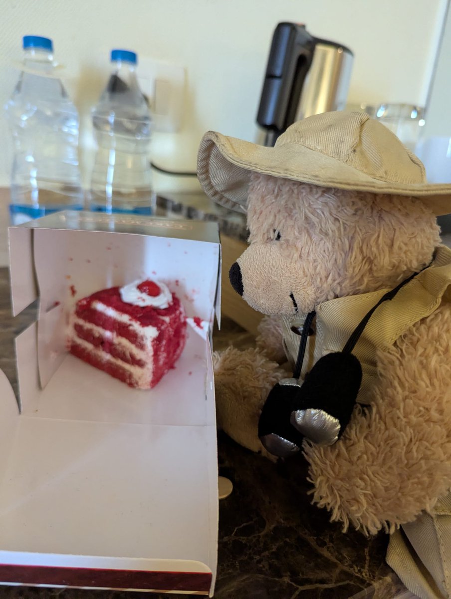 FlynnTheBear's tweet photo. This cake looks exceedingly good! #Flynn #FlynnTheBear #India #MrKipling https://t.co/wUACEHlhrB