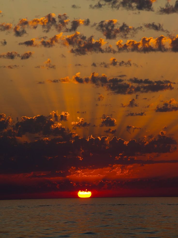 SAGE🌿 (@sagy720) on Twitter photo 