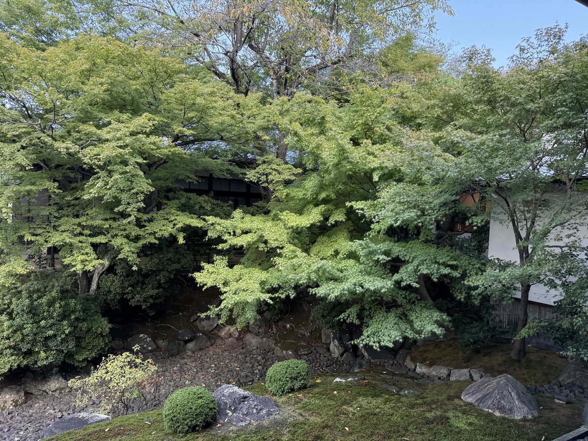 今日は相国寺をご案内。観光客少なくてスムーズに入れた