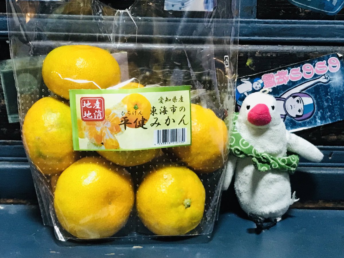 バッグ peichan. Webike | Kawasaki カワサキ ツーリングウエストバッグ(J8914