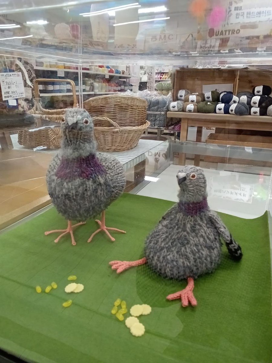 graphicshaeigy1's tweet image. 北海道のカナリヤ札幌本店さんにて10月新刊『鳥あみぐるみ』のサンプルを展示していただきました！これはかわいいいい！！🦆餌まで！細かい！！実際に見てみたら本当に作りたくなります！4Fの毛糸売場まで是非お越しくださいませ！　#書店巡礼　#鳥あみぐるみ　#カナリヤ　#あみぐるみ　#札幌 #soruni