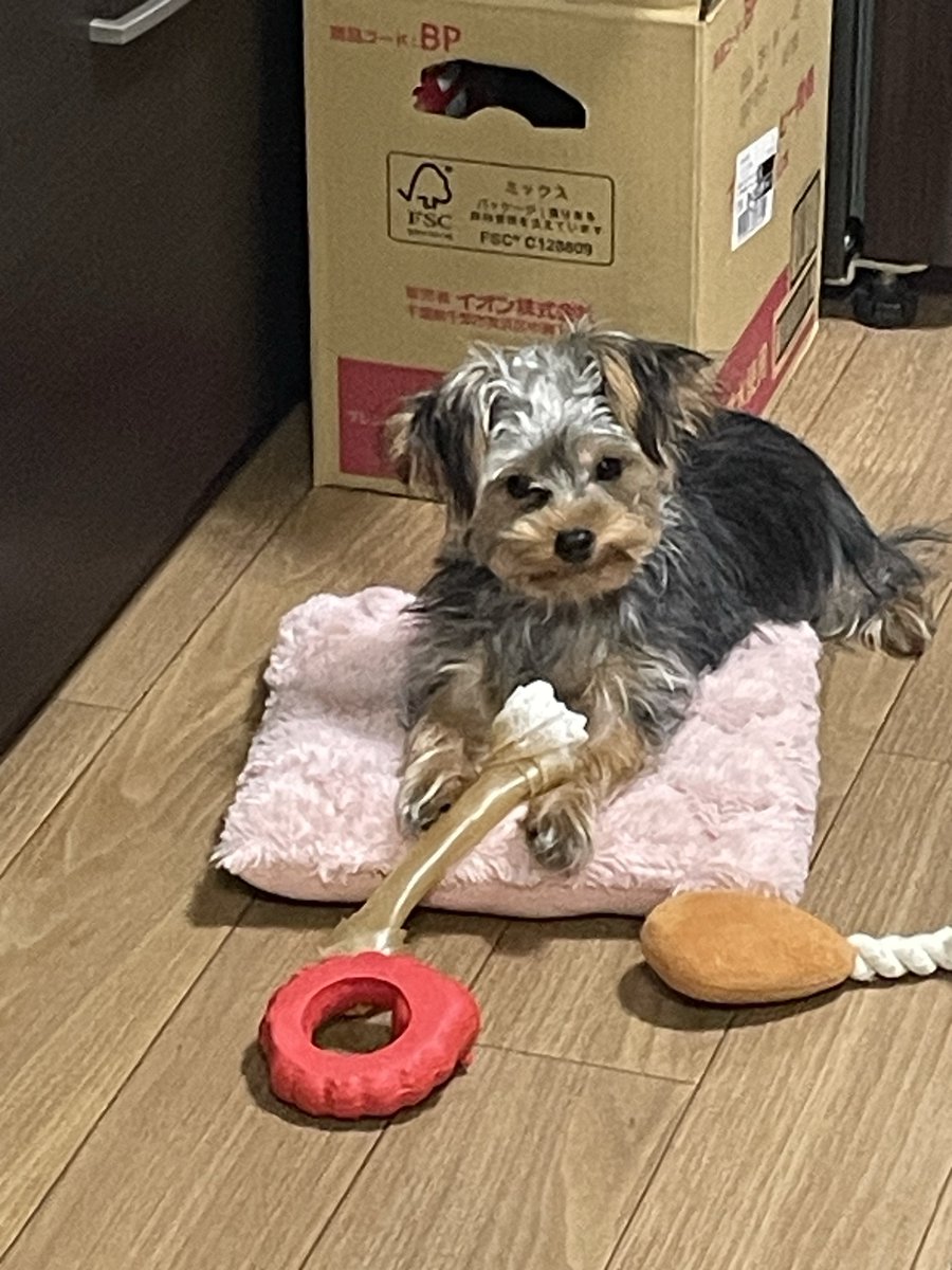 Nao様 リクエスト 7点 まとめ商品 なな様 リクエスト 7点 まとめ商品 - メルカリ