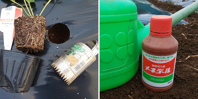 孝イチロー苗 ヒロ ／ Hiro（hh1325dd） on X