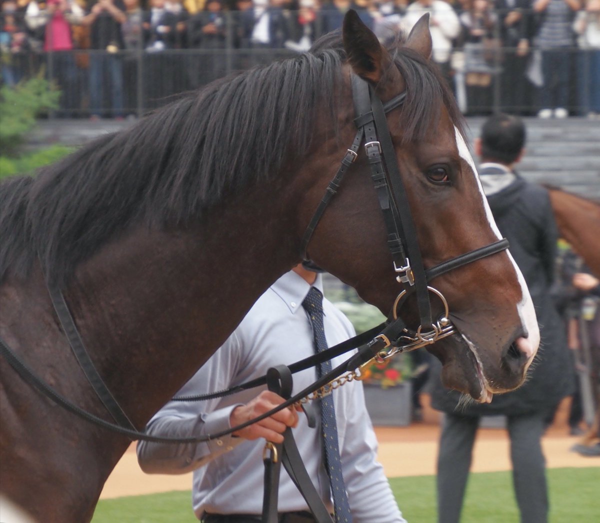 馬のある静物２ 馬のある静物2