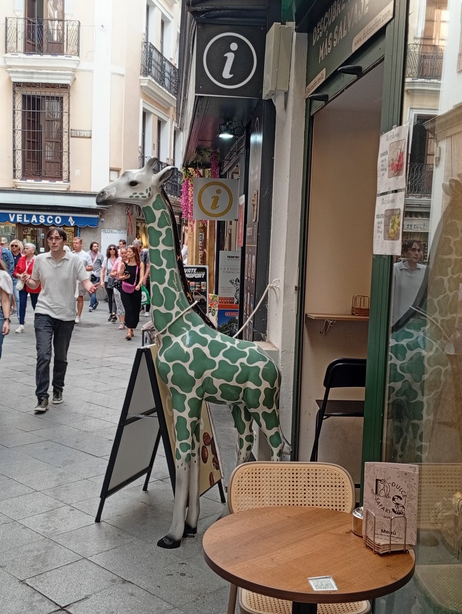 Antonio Silva tweet media