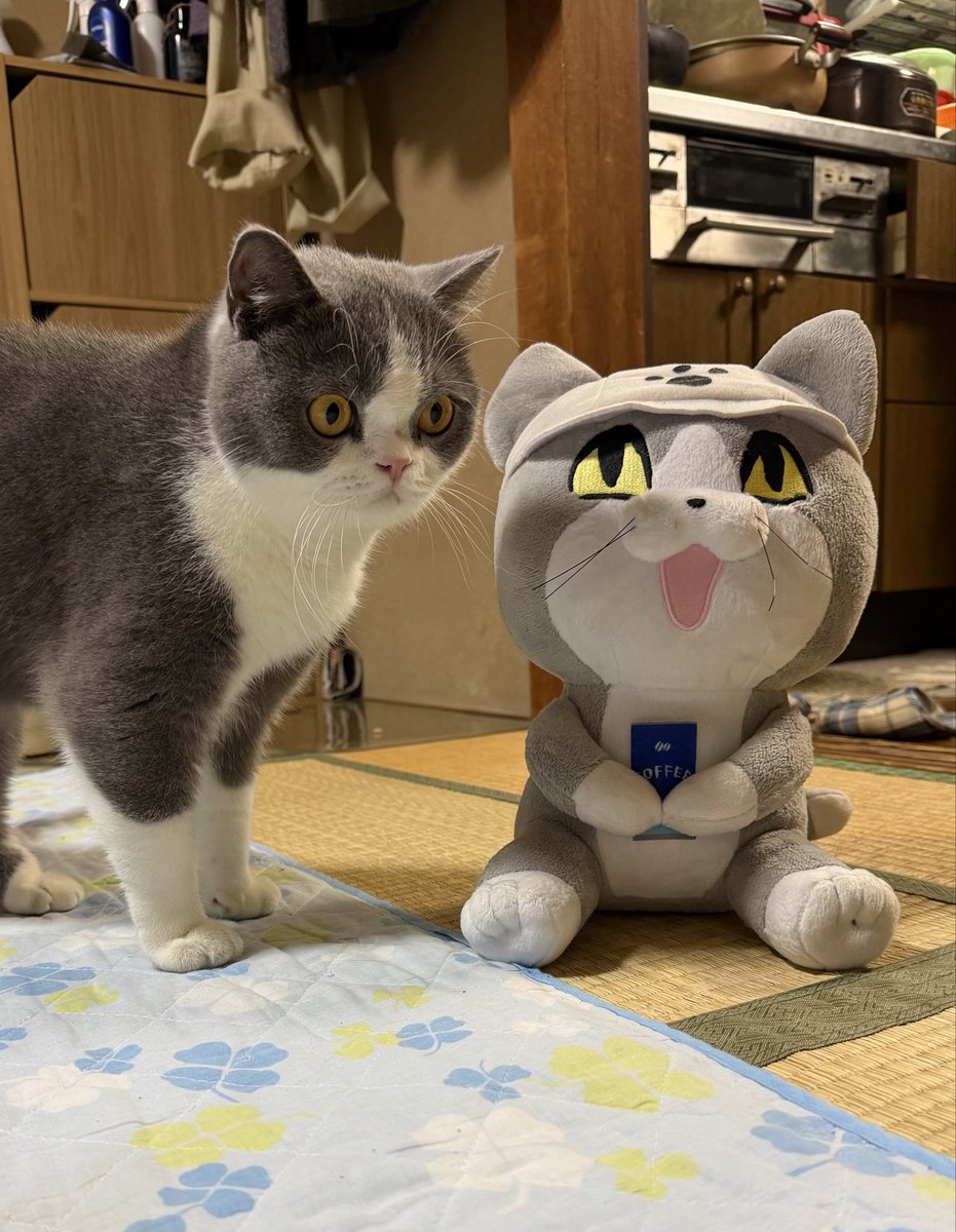 プルート@DQ10 on X