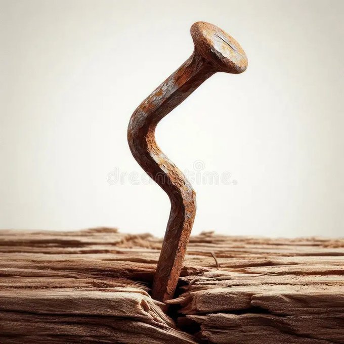 Mira esta foto de Instagram de <a href="/adeleondegracia/">Alberto De Leon</a> instagram.com/p/DQTveKqAA8y/…