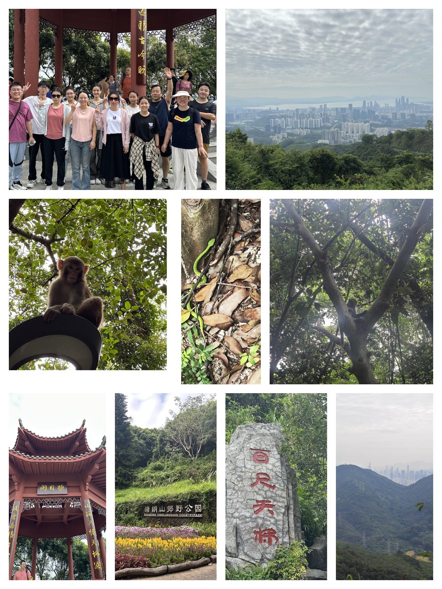 roaweo80596's tweet image. 13 of OAI’s outdoor lovers hit Tanglang Mountain this weekend~ ⛰
Lots of laughs, fresh air, and a few adorable mountain locals making a surprise appearance~ 🐒🐍💛
#mini_PC #indusrtrial_computer #embedded_PC_box #Tanglang_Mountain