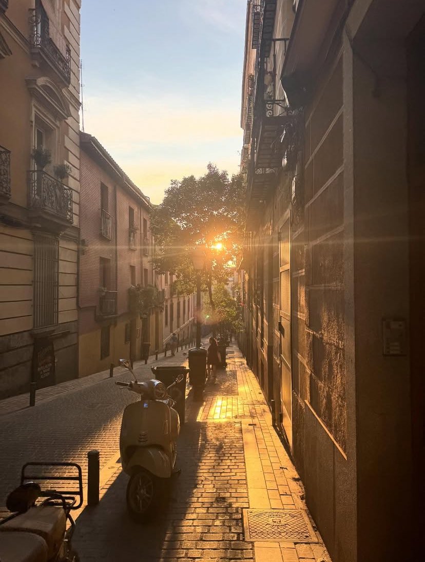 rydingomez's tweet image. 📀🌄🫣 #inprogress
pasan los días, pasan las semanas… 📀🌇
disco grabado! 🌅😻