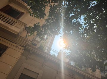 rydingomez's tweet image. 📀🌄🫣 #inprogress
pasan los días, pasan las semanas… 📀🌇
disco grabado! 🌅😻