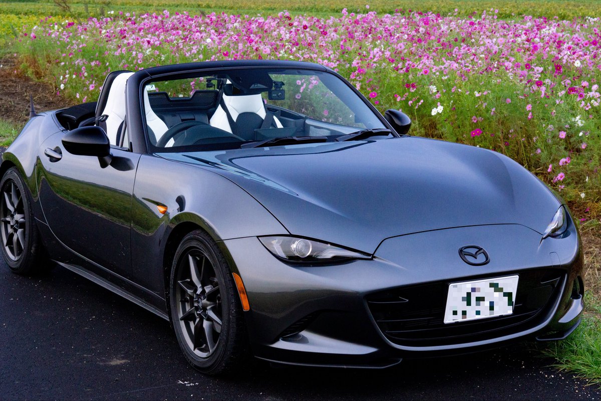 nd_tyk72's tweet image. 泥んこになってまで秋桜撮りにいったのに、車がメインになってしまうの草😇