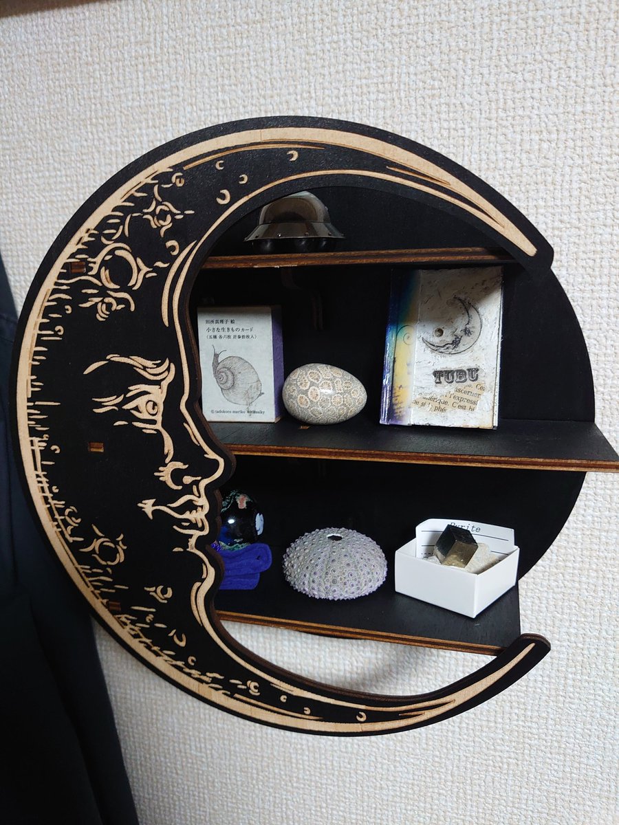 石のうえの静物 サイトー on X