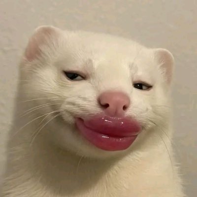nayeon6969's tweet photo. #NewProfilePic https://t.co/1QFXquAMPG