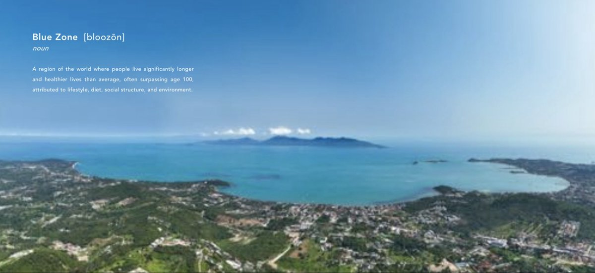 𝐊𝐨𝐡 𝐒𝐚𝐦𝐮𝐢 𝐚𝐧𝐝 𝐁𝐞𝐲𝐨𝐧𝐝 tweet media