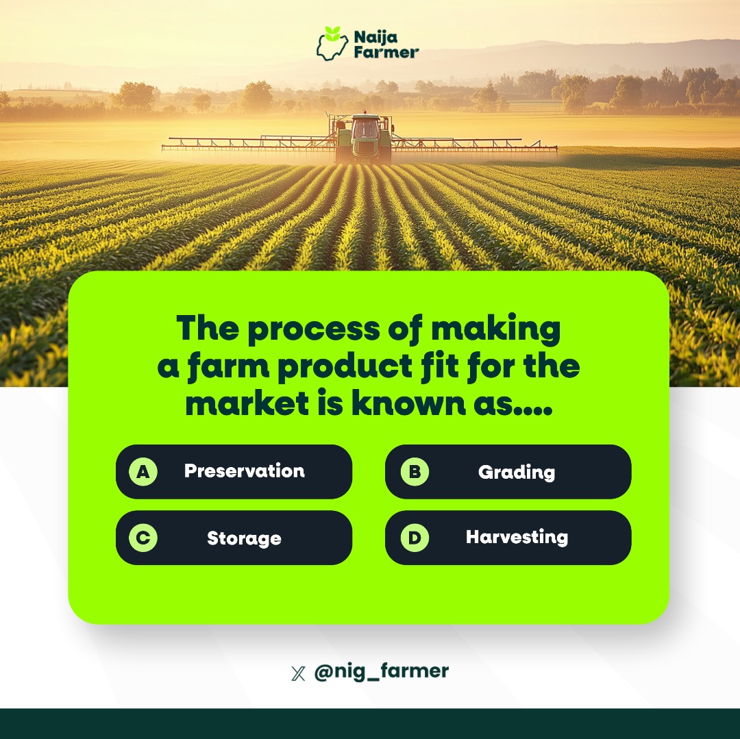 #NaijaFarmerTest 

Agricultural Brain Teaser

Test your Agricultural Science knowledge.

Retweet to your followers.