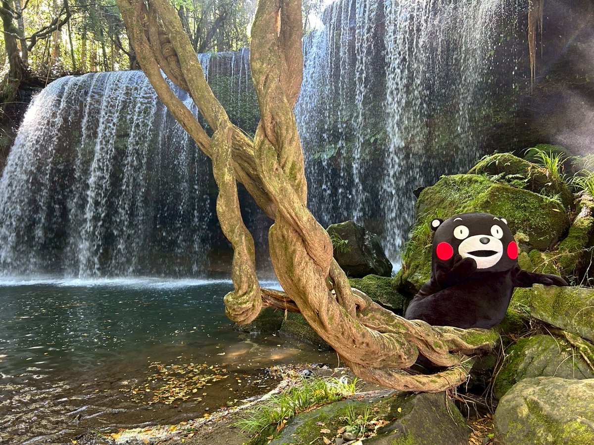 くまもん くまモン1EX-1 くまモンのプラモ くまモン15周年記念 特別背景紙付き