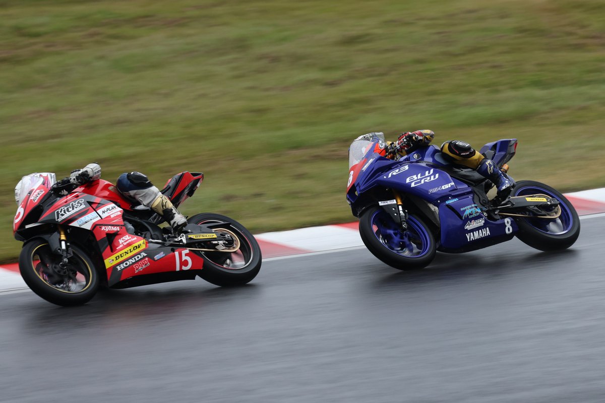 ありがとうございます 51GqNKbmPyL.jpg_BO30,255,255,