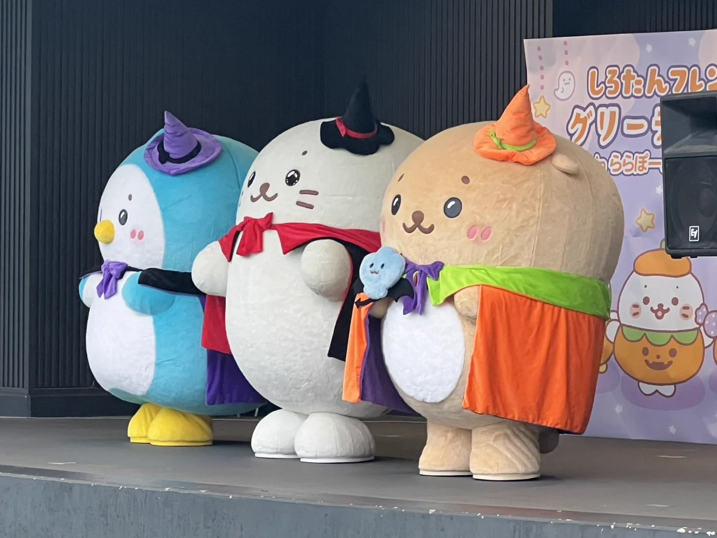 しろたんふんわりInfo on X: 