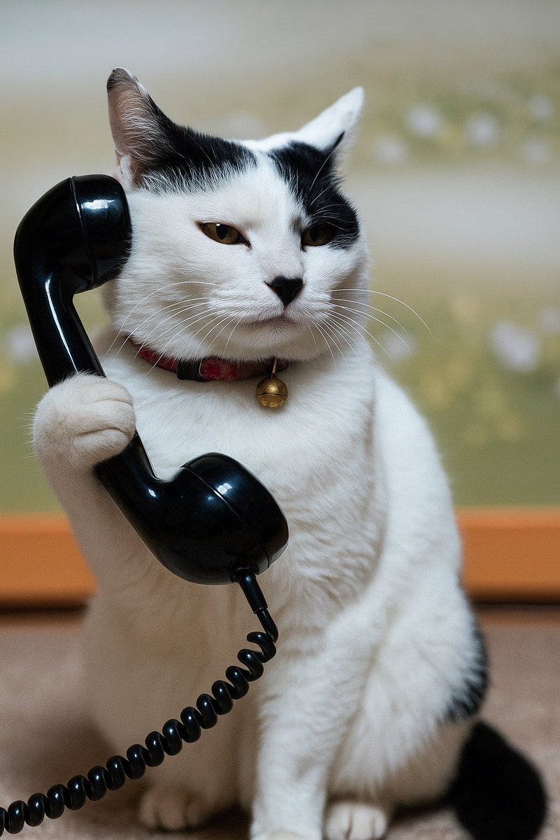 45R ドットわかめ やすみさん 45rpm 45R ドットわかめ やすみさん 45rpm - メルカリ