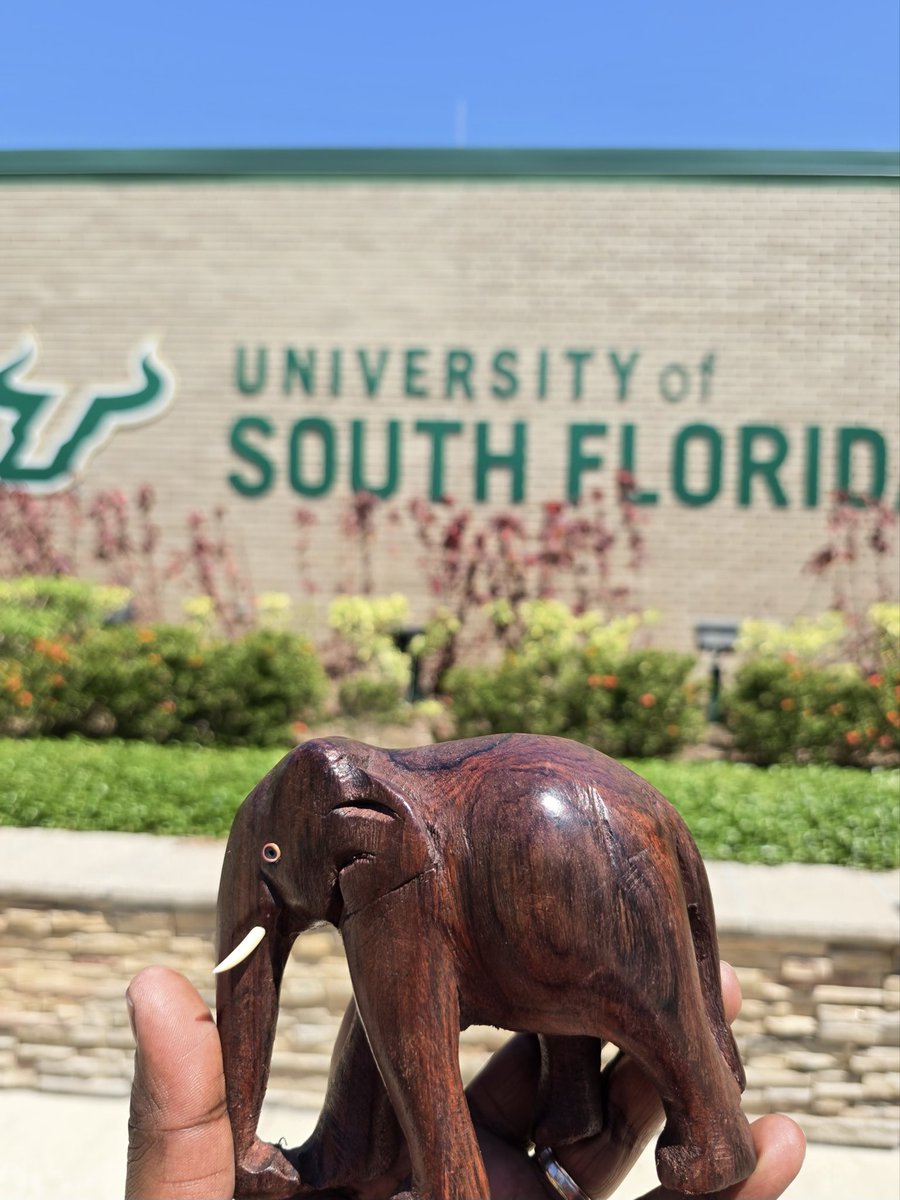 Tusker at <a href="/BSidesTampa/">BSides Tampa IT Security Conference</a> 2025, University of South Florida.
Offensive Mindset. Defensive Impact.

#BreachSimRange #BSidesTampa #OffensiveSecurity