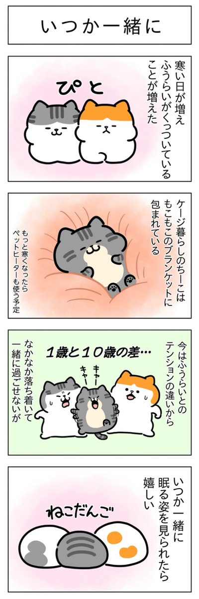 使い捨て・いつか一緒に│フェリシモ猫部 https://t.co/PapWL8bxSP 