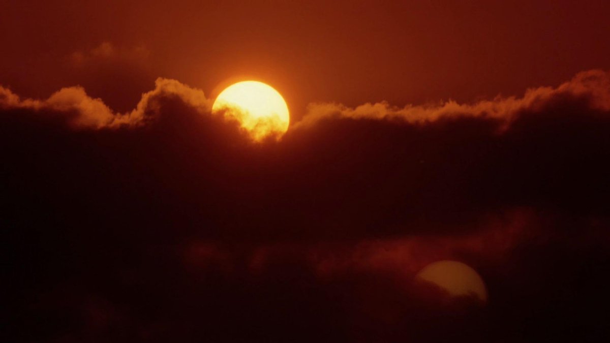 alucard8791's tweet image. &quot;La Setta&quot;
#TheSect (1991) dir:#MicheleSoavi
Prod:#DarioArgento #Cinematography by: #RaffaeleMertes (1/2)