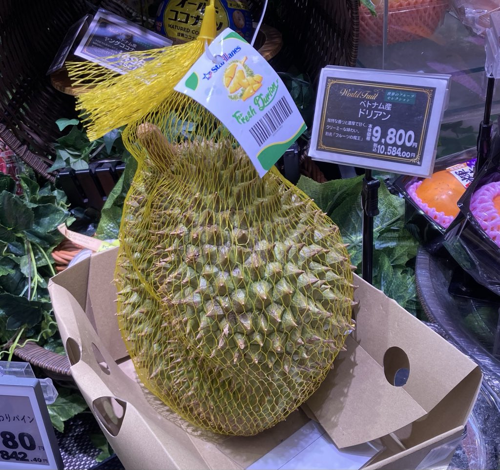 おそらく今まで見た中では最も高値のドリアン👀

森ノ宮キューズモールのLIFEにて