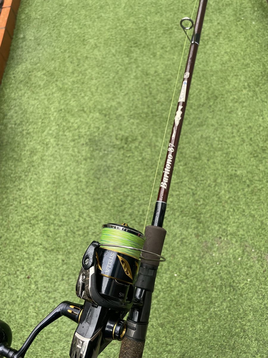 TULALA グッピーまつり TULALA グッピーまつり【ミジュンまつり】サブリナ版