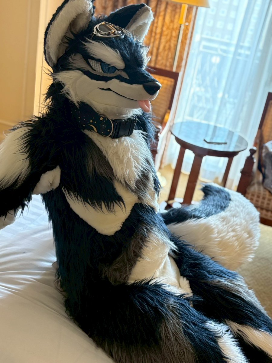 たまにのんびりしようぜ
#ケモノをみて今週もがんばりマンデー
#そ～げつようび