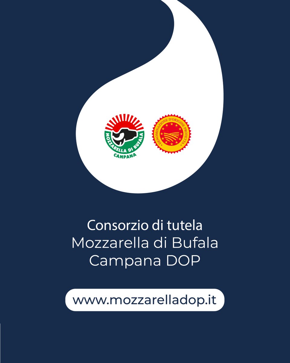 𝐃𝐞𝐧𝐭𝐫𝐨 𝐥𝐚 𝐅𝐢𝐥𝐢𝐞𝐫𝐚: 𝐠𝐥𝐢 𝐚𝐥𝐥𝐞𝐯𝐚𝐦𝐞𝐧𝐭𝐢

La Mozzarella di Bufala Campana DOP nasce dal latte di bufale allevate con regole rigorose. 🐃

Il Disciplinare richiede che siano:
✔️ di razza Mediterranea Italiana
✔️ allevate libere o semilibere in paddock
